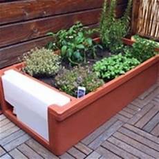 orto da terrazzo orto in terrazzo giardino in terrazzo come realizzare orto da terrazzo orto in terrazzo giardino in terrazzo come realizzare