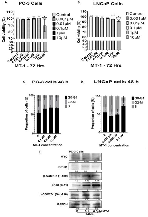 The Bivalent Bromodomain Inhibitor MT-1 Inhibits Prostate Cancer Growth