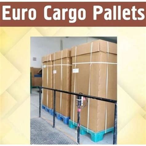 Plastic Euro Cargo Pallets Manufacturer, Supplier from Jodhpur
