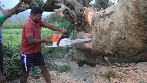 Demo Page | Odisha Police