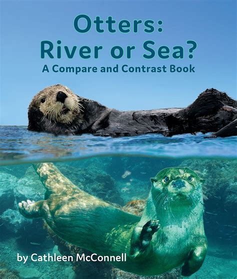River Otter Vs Sea Otter