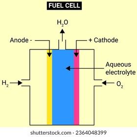 Fuel Cell Structure 的图像结果