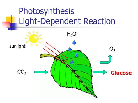 Energy Molecule 的图像结果