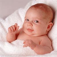 Image result for 婴儿