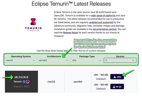 Java 11 Mac Tutorial 的图像结果
