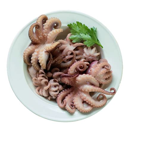 Fresh Exotic Seafood – Salmon, Lobster, Tuna & More