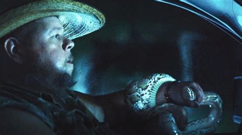 Image result for How Do Python Hunt