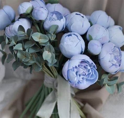 Blue Peonies | Синие букеты цветов, Флористика, Розовые пионы