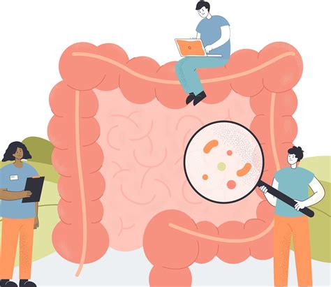 Zonulin in Intestinal Permeability & Autoimmune Diseases – MyDiagnostics