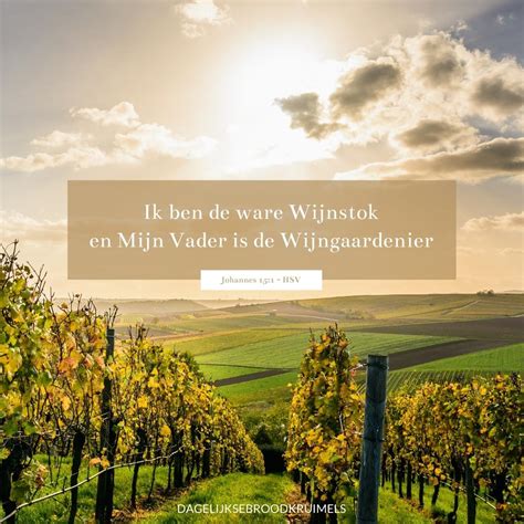 Johannes 15 - Herziene Statenvertaling - DagelijkseBroodkruimels