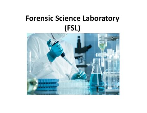 Formulating Hypothesis - Formulation of testable hypotheses The ...