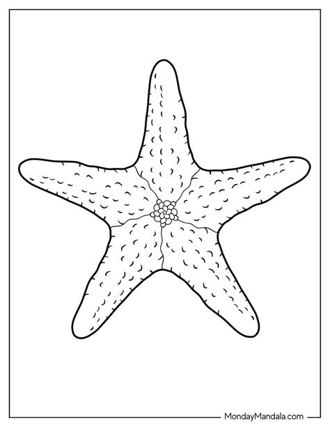 20 Starfish Coloring Pages (Free PDF Printables)