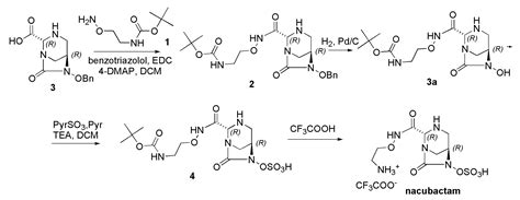 Recommendations to Synthetize Old and New β-Lactamases Inhibitors: A ...