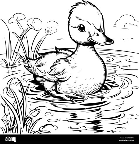 Duck Coloring Sheets Printable Farm Animal Coloring Pages | Printable