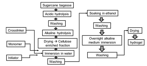 Super-Adsorptive Biodegradable Hydrogel from Simply Treated Sugarcane ...