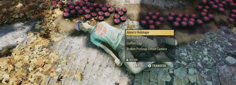 Image result for Fallout 76 Camera Tips