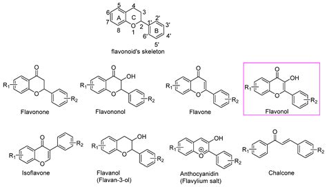 Synthesis of Flavonols and Assessment of Their Biological Activity as ...