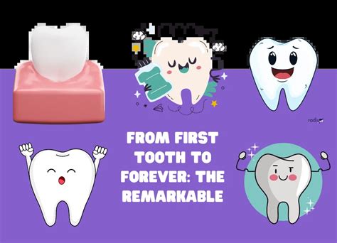 Image result for First Tooth Overall