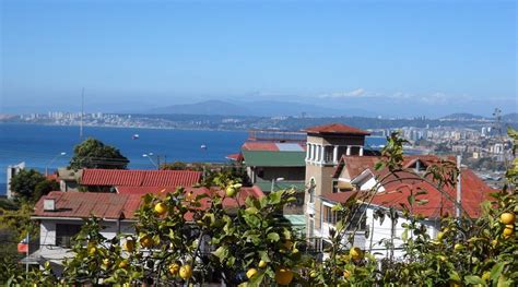 CASA AVENIDA ALEMANIA (Valparaiso) - Specialty B&B Reviews, Photos ...
