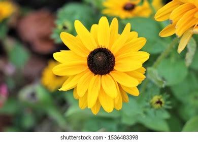 Image result for Basic Machine Learning Application Design Sample