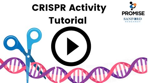 Image result for CRISPR Tutorial
