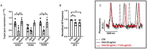 Interleukin-6 Modulates the Expression and Function of HCN Channels: A ...