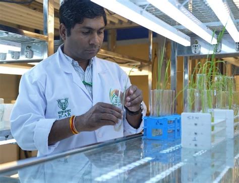 ICAR-IIRR scientist Dr Satendra Kumar Mangrauthia honoured with ...