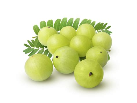 indio Grosella phyllanthus emblica amla frutas verde transparente antecedentes 24849650 PNG