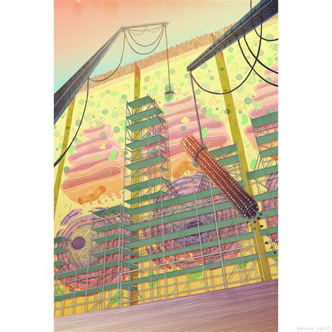 Biology Journal Cover 的图像结果