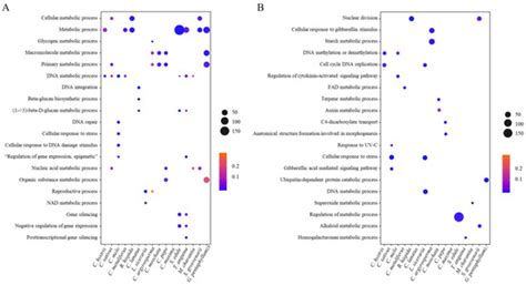 Impact of LTR-Retrotransposons on Genome Structure, Evolution, and ...