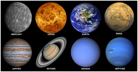 Image result for Pandora