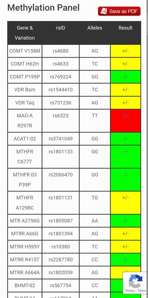 Genetic Genie Help : r/MTHFR
