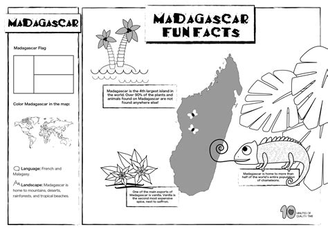 Best 13 Madagascar Fact Sheet for Early Readers – Artofit