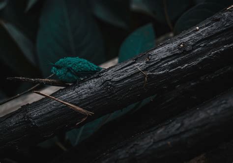 Environmental Constraints → Fundamentals