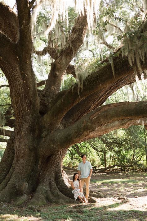 Haley Cordray and Drew Theriot's Wedding Website