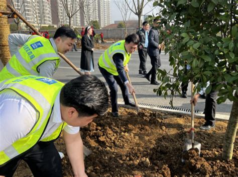 国内知名地产绿色施工内部培训，四节一环保，绿色施工全过程详解 - 知乎