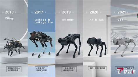 宇树科技：四足机器人将在5年内普及 我们不是“中国版波士顿动力”_凤凰网