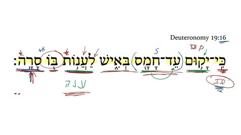 Deuteronomy 19:16 | Daily Dose of Hebrew