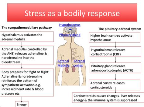 Biological Stress Examples 的图像结果