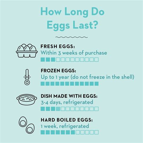 What Is Shelf Life Of Eggs at Fernande Frank blog