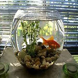 nogaiya Fish Bowl Glass Product Round Shape Transparent crystel Glass ...