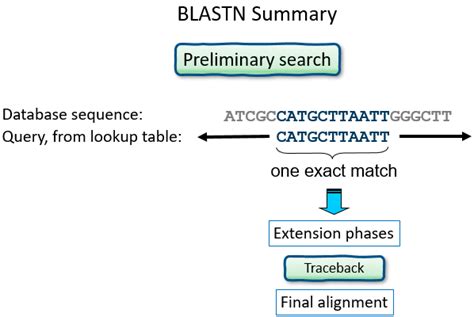 Blast Biotechnology Example 的图像结果