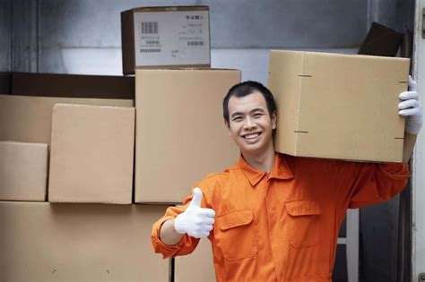 Packing Machine Operator 的图像结果