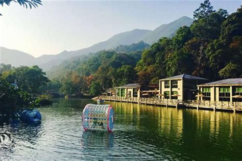 惠州市鸿秀环保工程有限公司--生化手段河道水面保洁，彻底灭杀水浮莲。