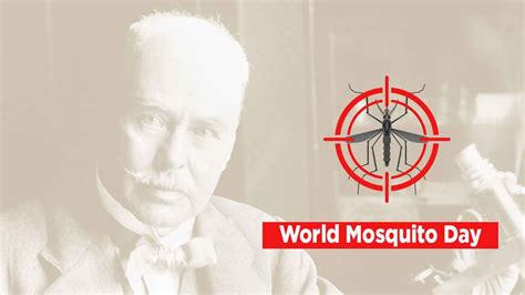 World Mosquito Day 2019: History, significance and fun facts about ...