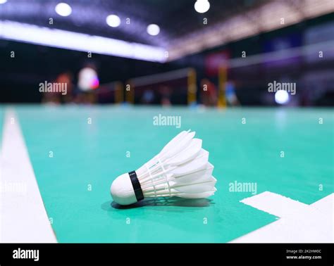 Playing Badminton 的图像结果