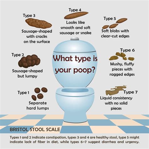 What Does Healthy Human Poop Look Like A Cool Guide To Types Of Poop