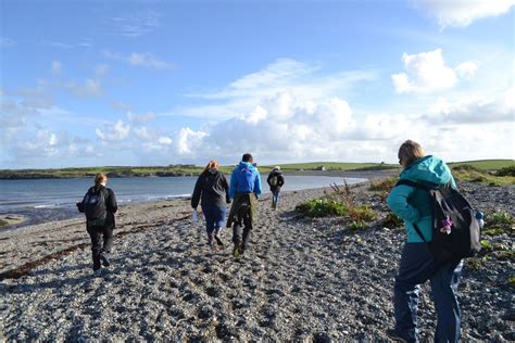 New year coastal wildlife walk, Cemlyn North Wales Wildlife Trust ...