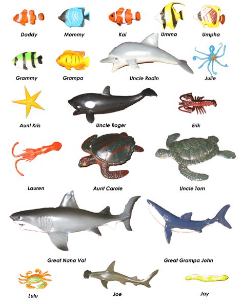 Ocean Animals Pictures With Names