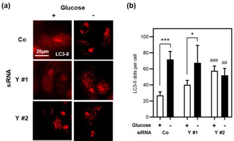 Cells | Special Issue : Cellular and Molecular Basis of Wound Healing